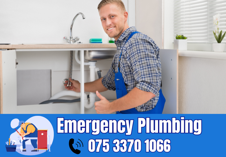  plumber Horton Kirby