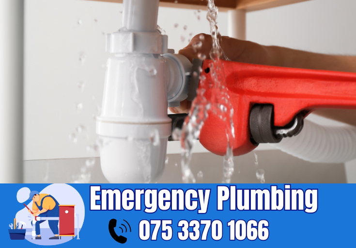  plumber Fawkham